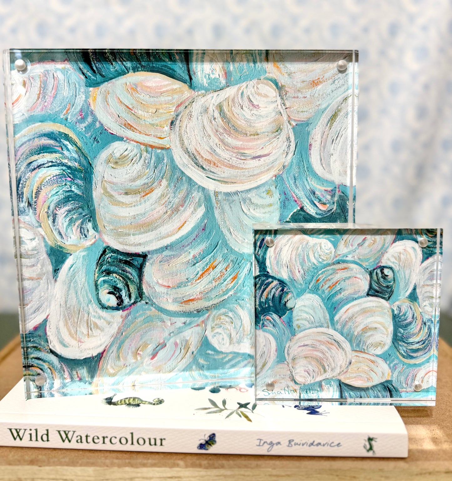 Colorful Clams - Acrylic Framed Print