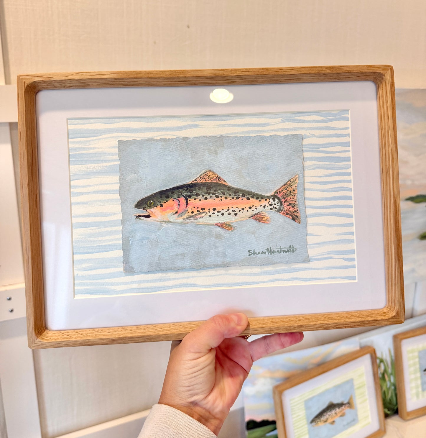 Framed ORIGINAL Rainbow Trout- Part of Set III