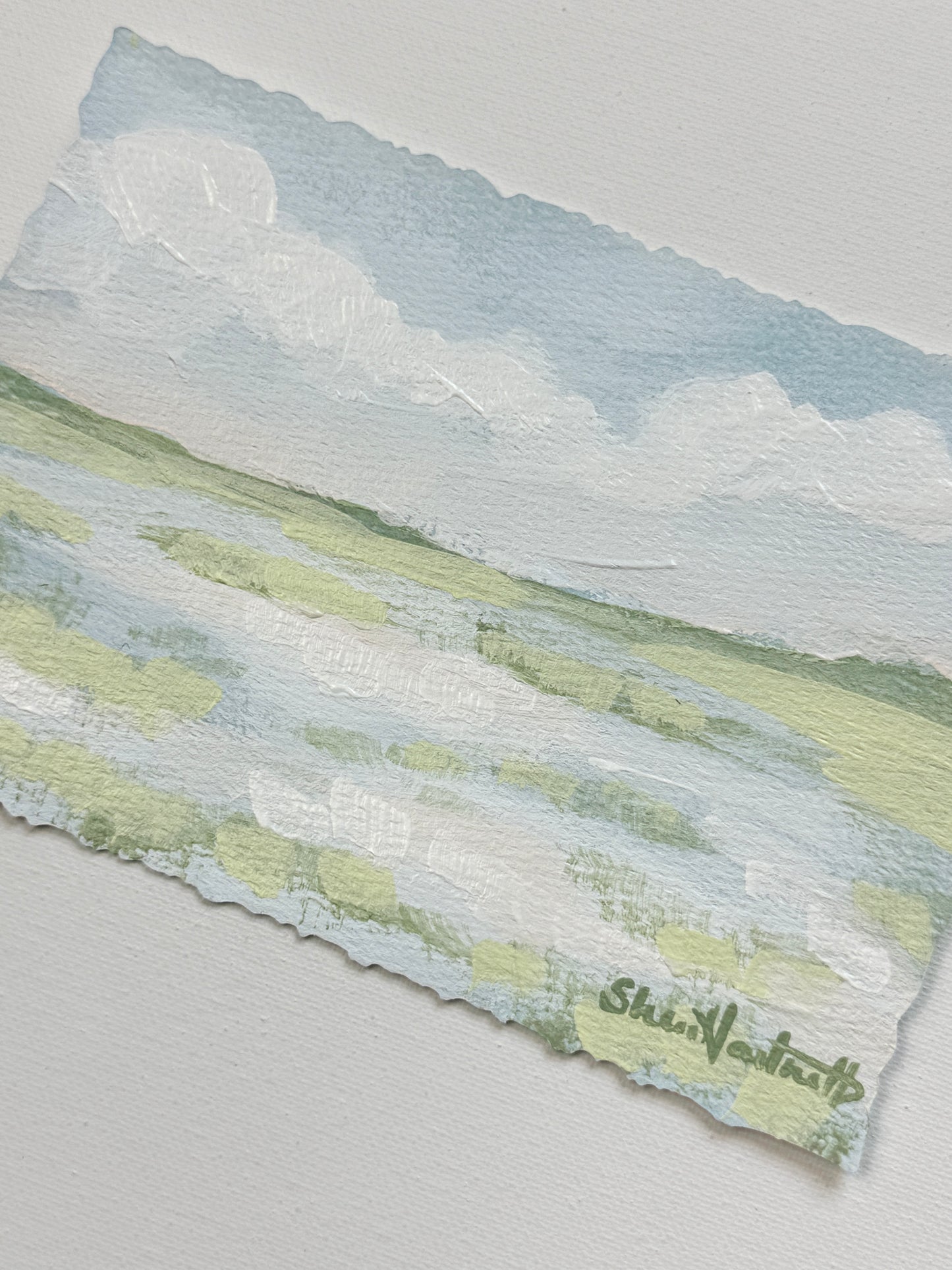 Lowcountry Studies- Marsh II