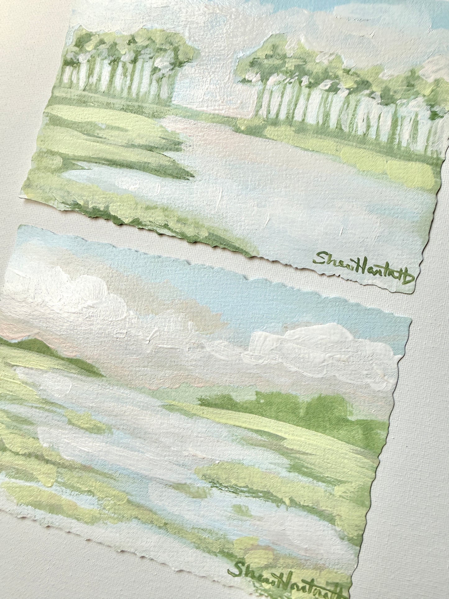 Lowcountry Studies- Set of 2