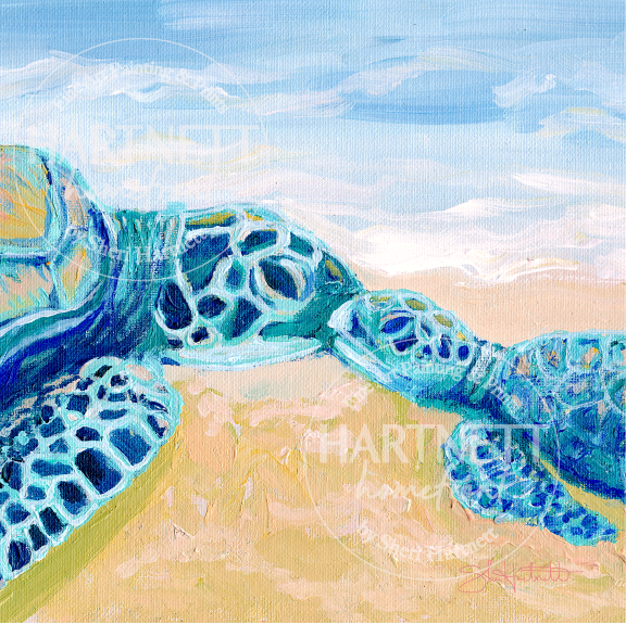 Sea Turtle "First Meeting" - Giclee Print
