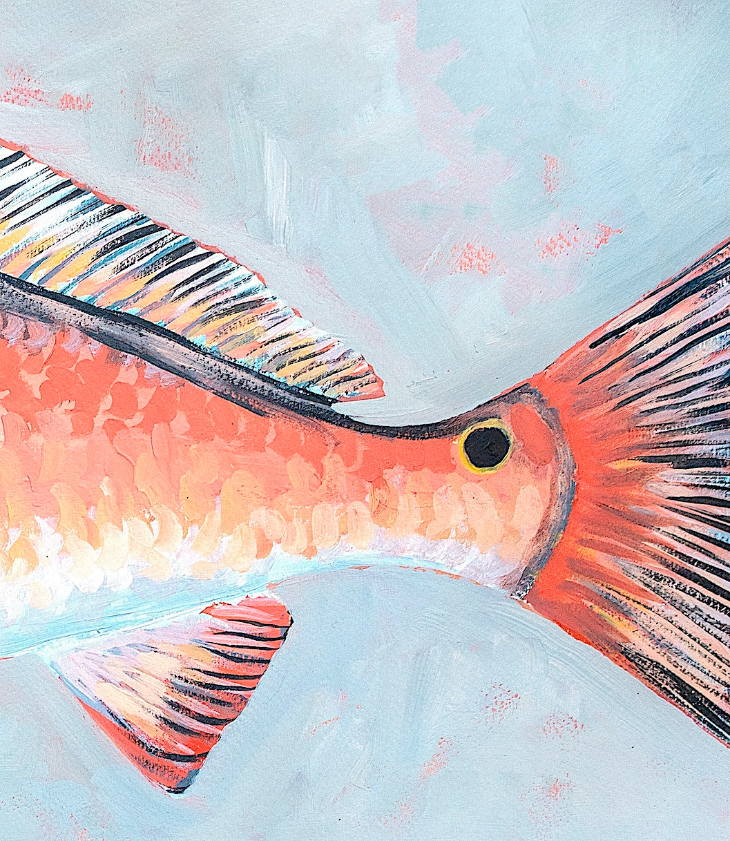 Redfish Fine Art Print