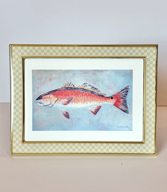 Redfish Framed Fine Art Print