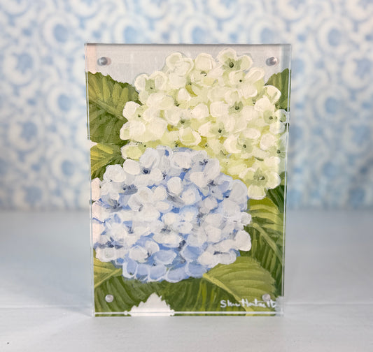 Hydrangea 5x7 Acrylic Magnetic Framed Print — Choose Your Design