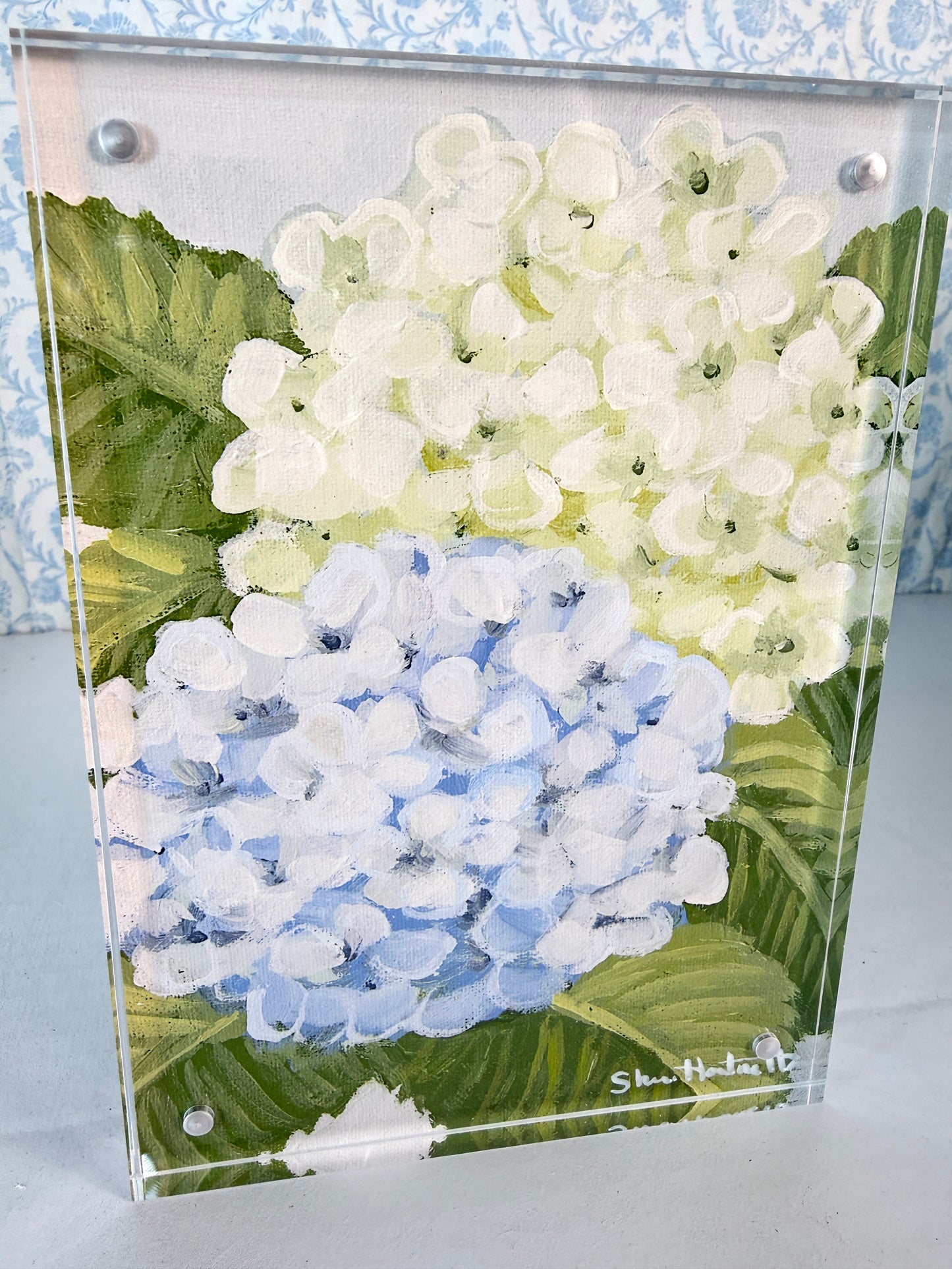 Hydrangea 5x7 Acrylic Magnetic Framed Print — Choose Your Design