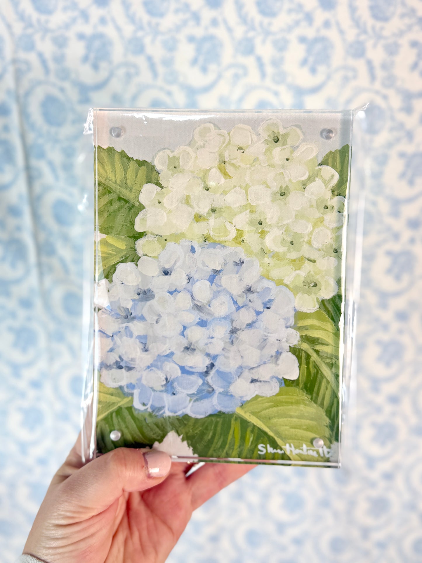 Hydrangea 5x7 Acrylic Magnetic Framed Print — Choose Your Design