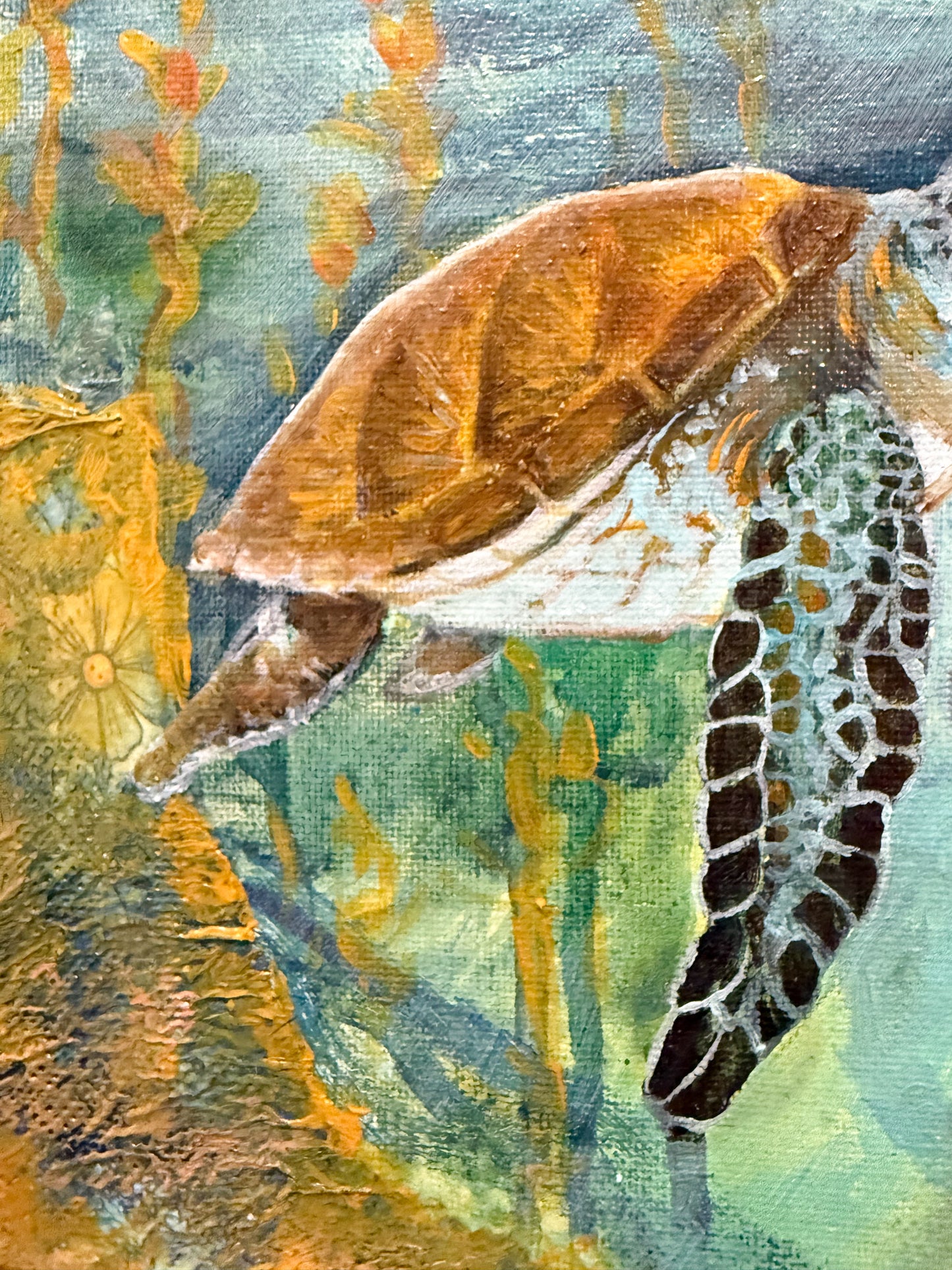 Framed Sea Turtle Original Oil Painting