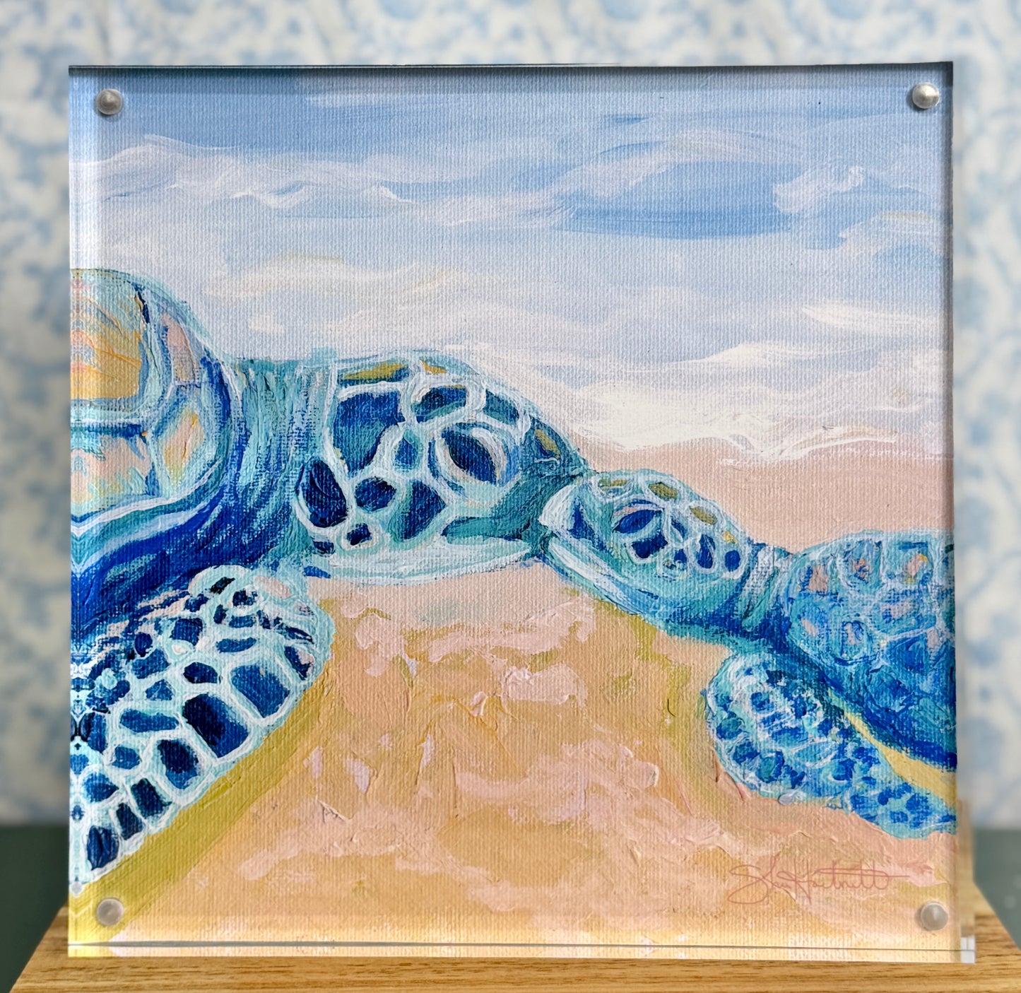 "First Meeting" Sea Turtle - Acrylic Framed Giclee Print