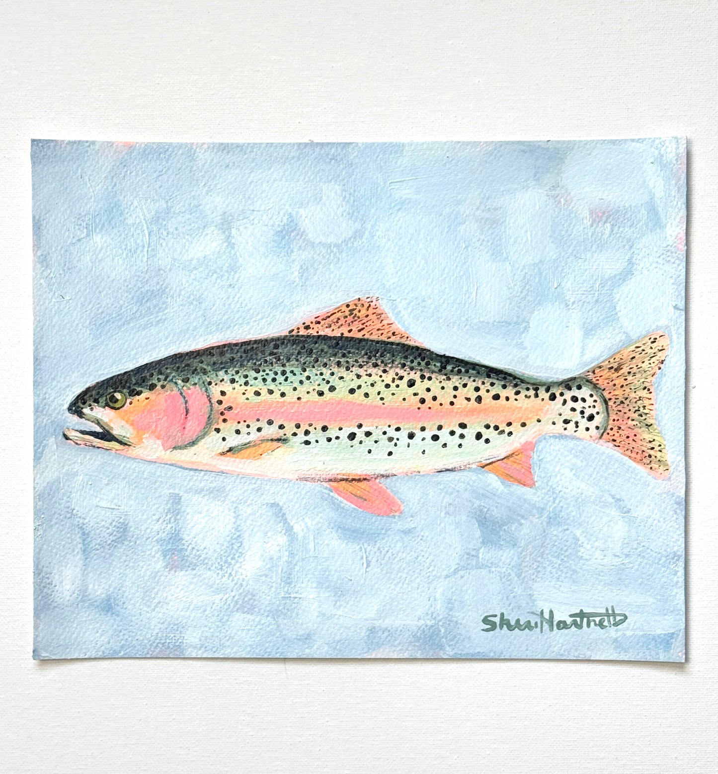 ORIGINAL 8x10 Rainbow Trout
