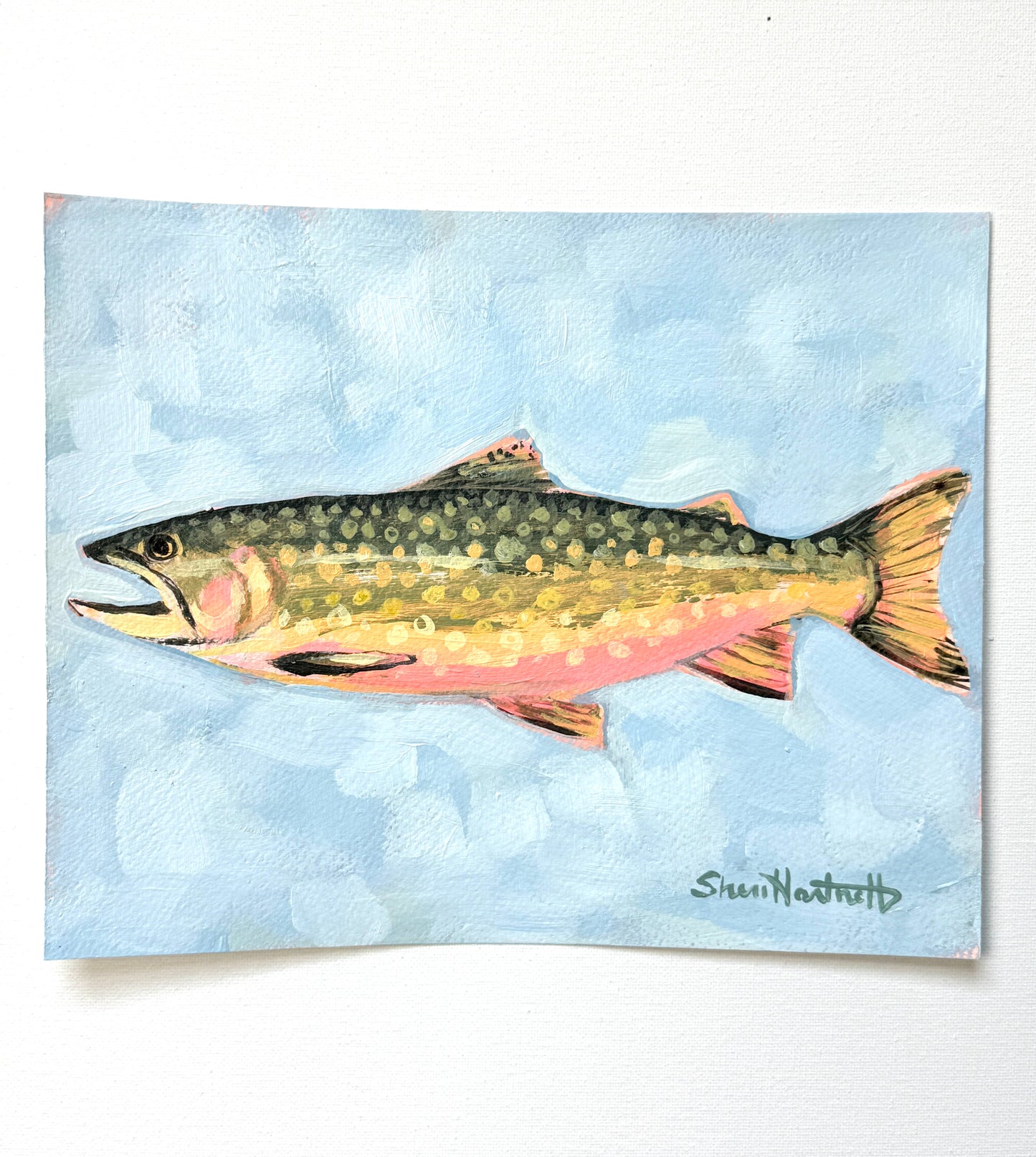 ORIGINAL 8x10 Brook Trout