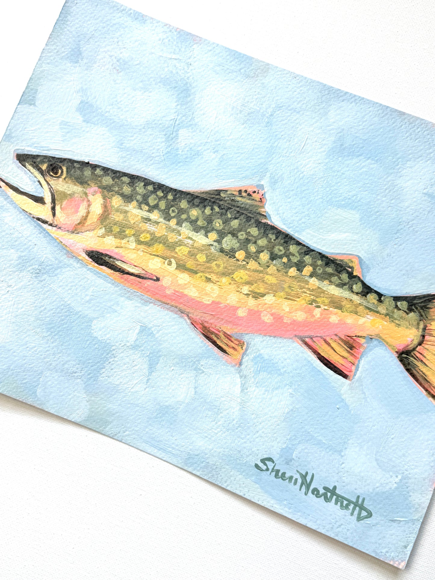 ORIGINAL 8x10 Brook Trout