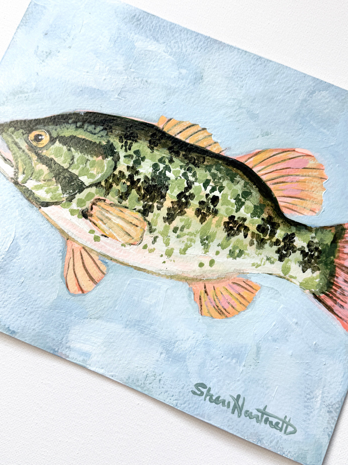 ORIGINAL 8x10 Largemouth Bass