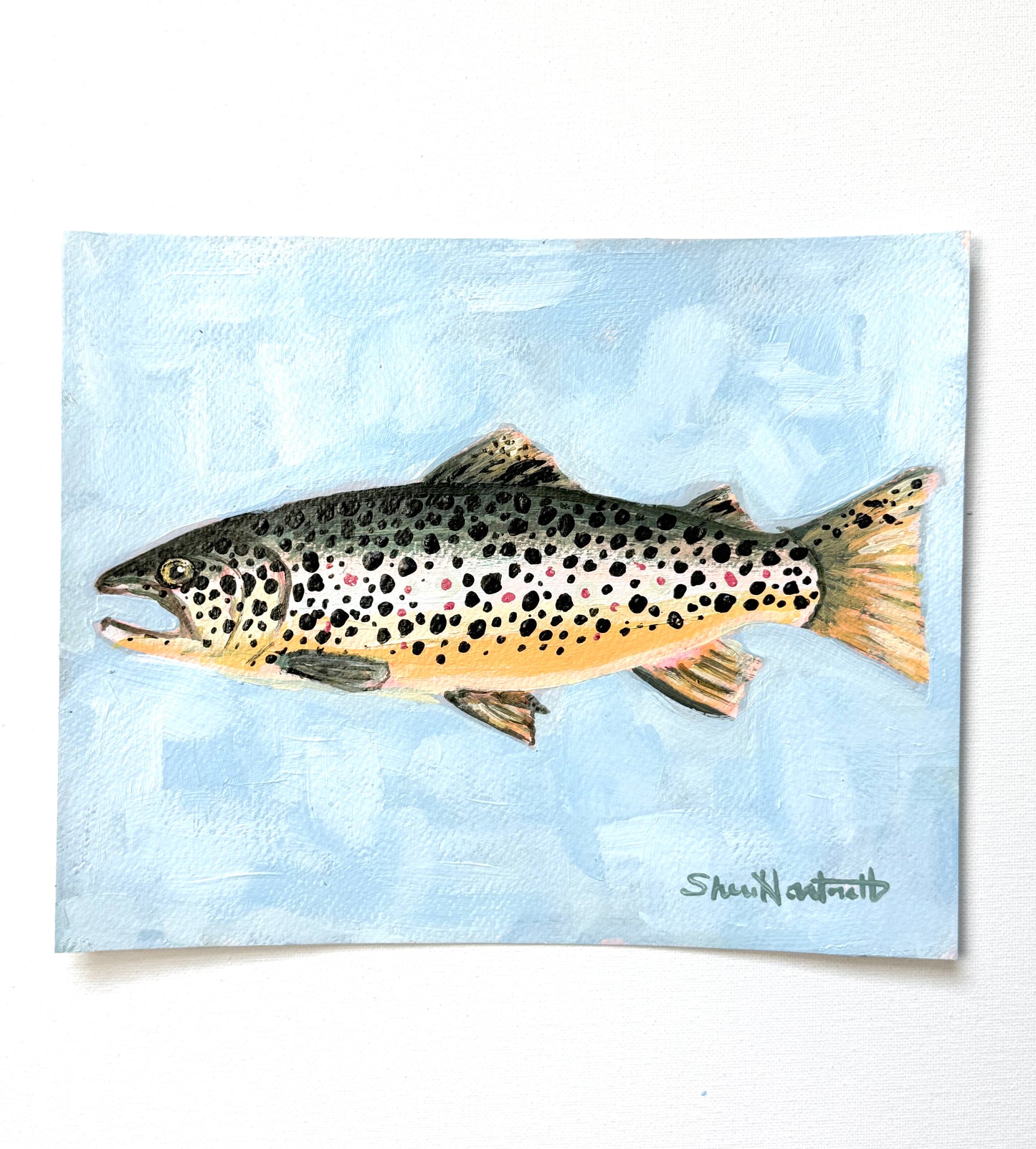 ORIGINAL 8x10 Brown Trout