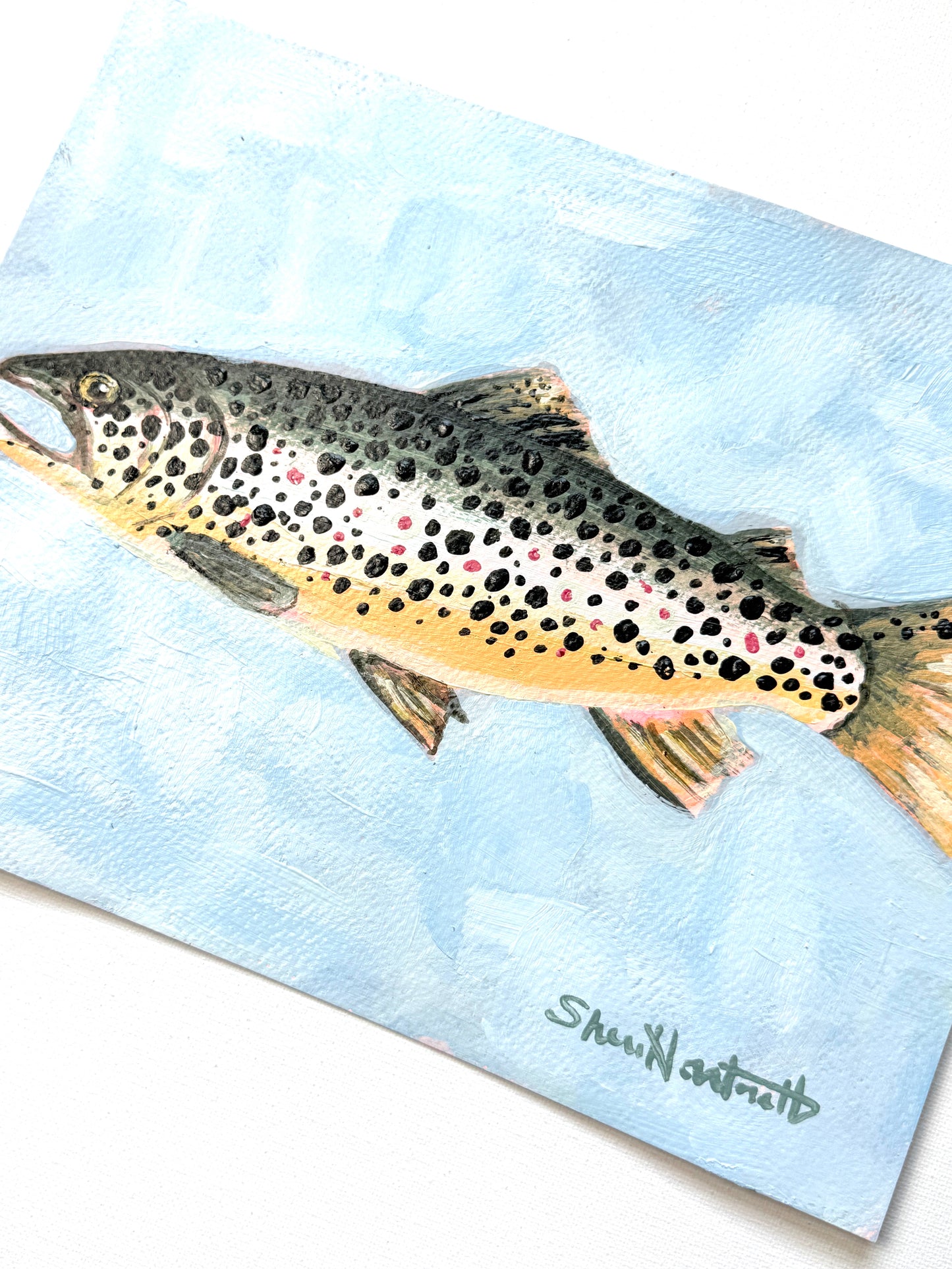 ORIGINAL 8x10 Brown Trout