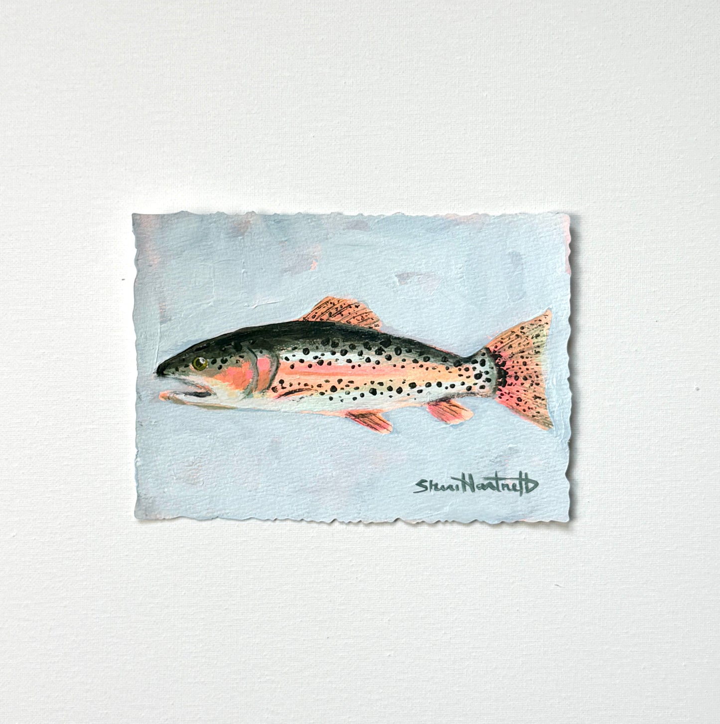 ORIGINAL Rainbow Trout 5x7 — Part of Set II