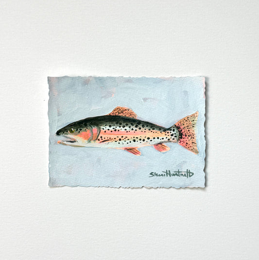 ORIGINAL Rainbow Trout 5x7 — Part of Set II
