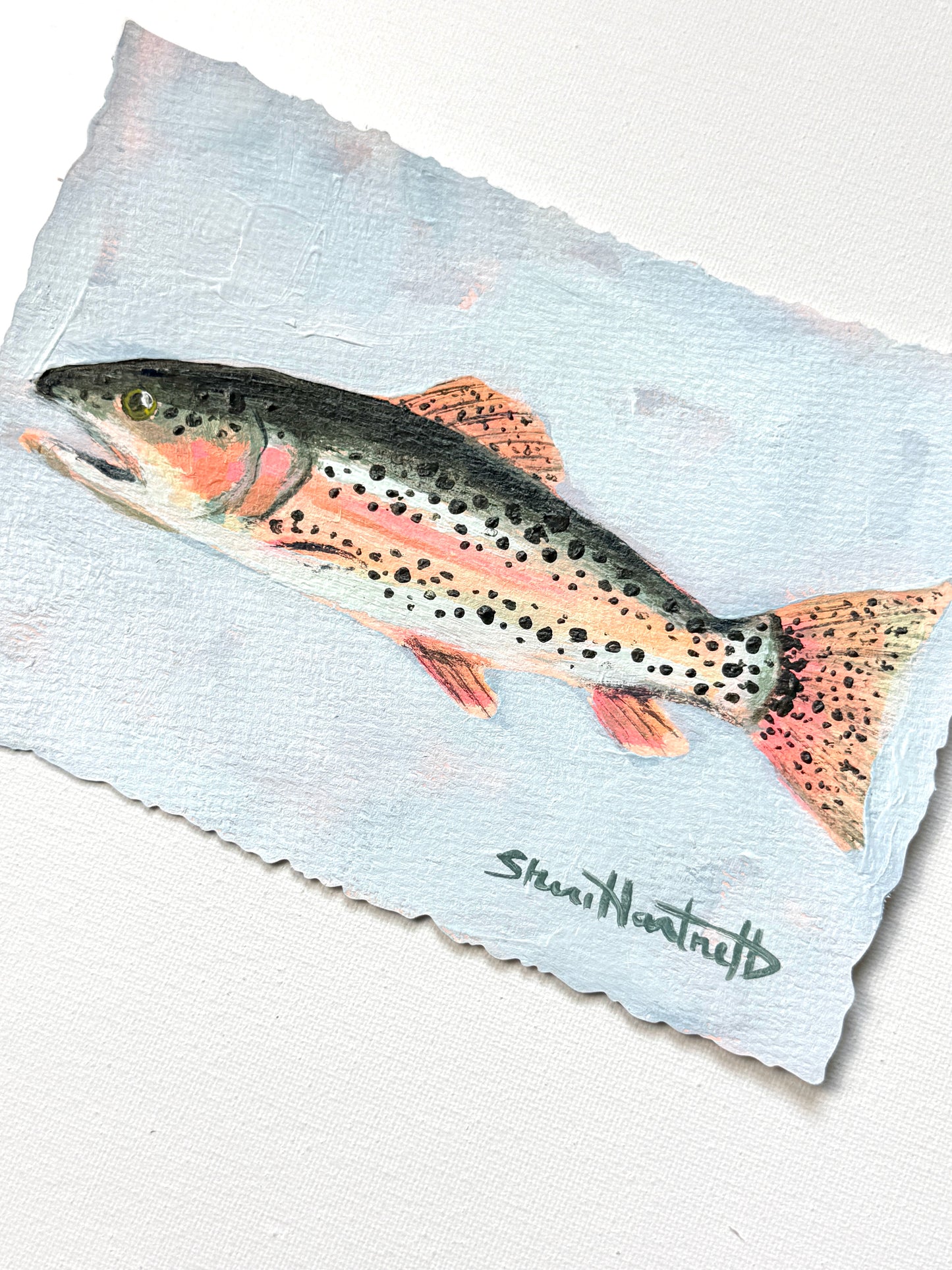 ORIGINAL Rainbow Trout 5x7 — Part of Set II