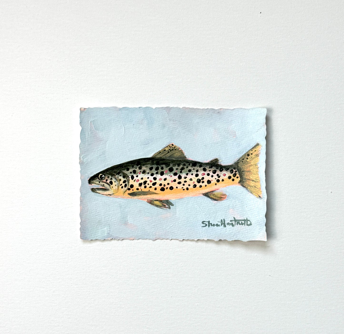 ORIGINAL Brown Trout 5x7 — Part of Set II