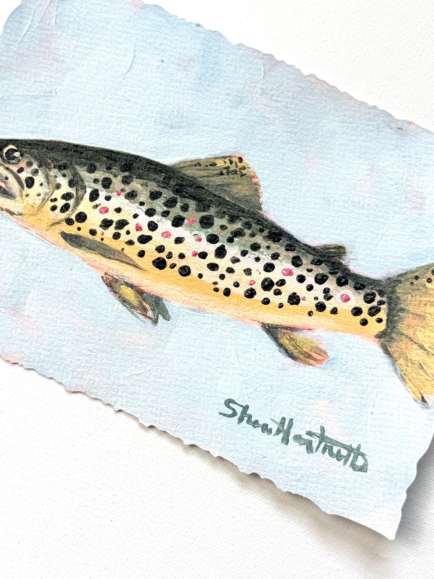 ORIGINAL Brown Trout 5x7 — Part of Set II