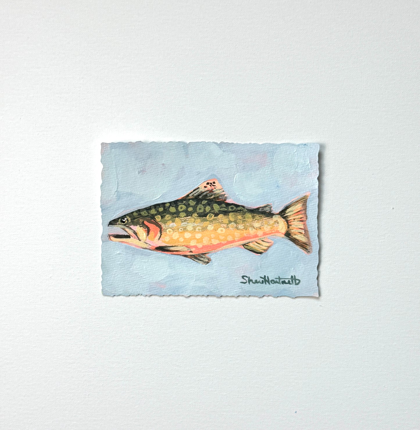 ORIGINAL Brook Trout 5x7 — Part of Set II