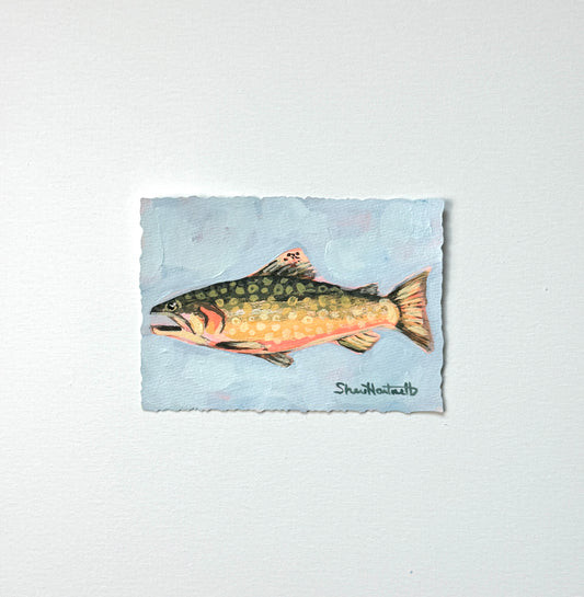 ORIGINAL Brook Trout 5x7 — Part of Set II