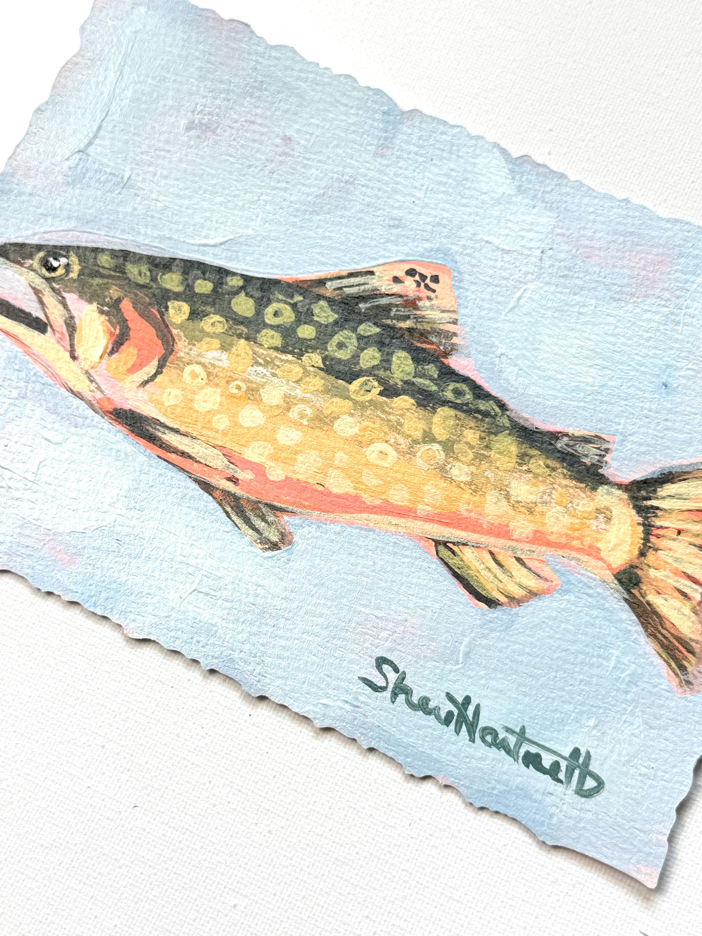 ORIGINAL Brook Trout 5x7 — Part of Set II