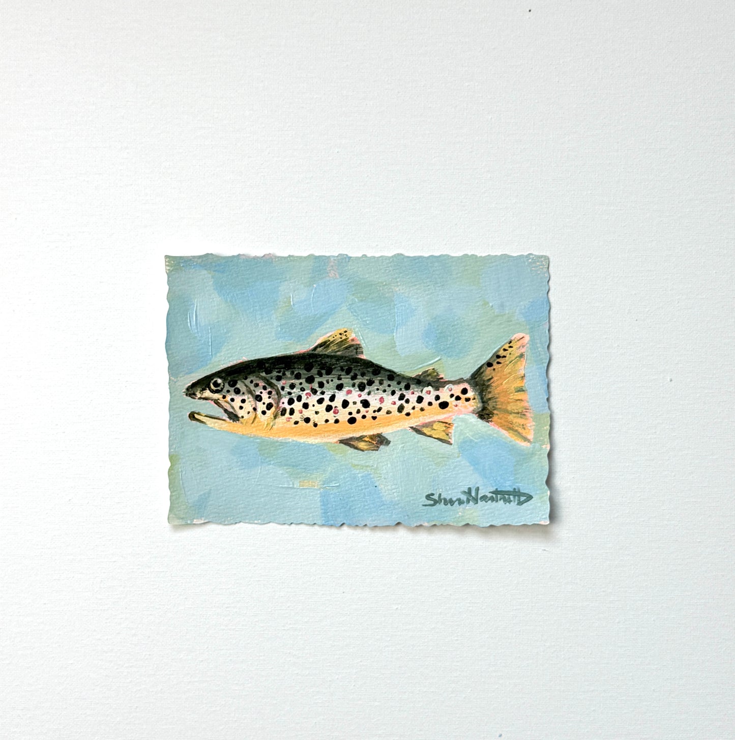 ORIGINAL Brown Trout 5x7 — Part of Set I