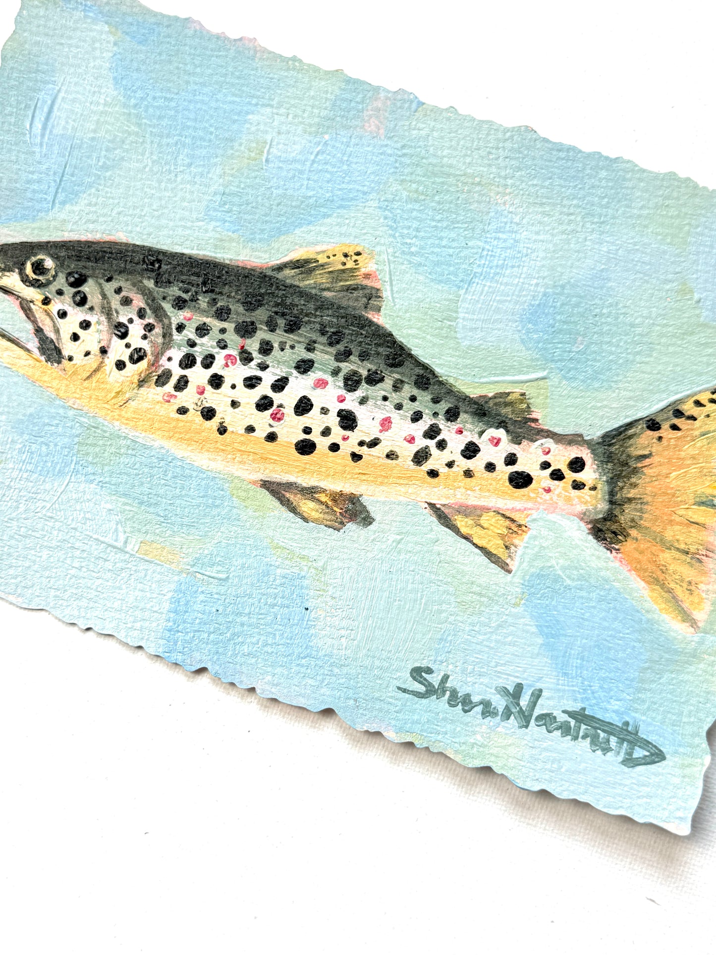 ORIGINAL Brown Trout 5x7 — Part of Set I
