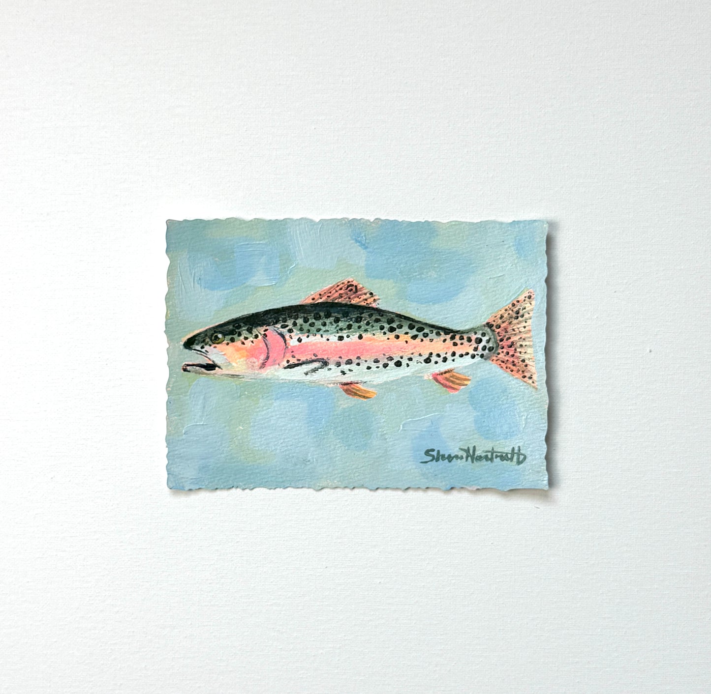 ORIGINAL Rainbow Trout 5x7 — Part of Set I