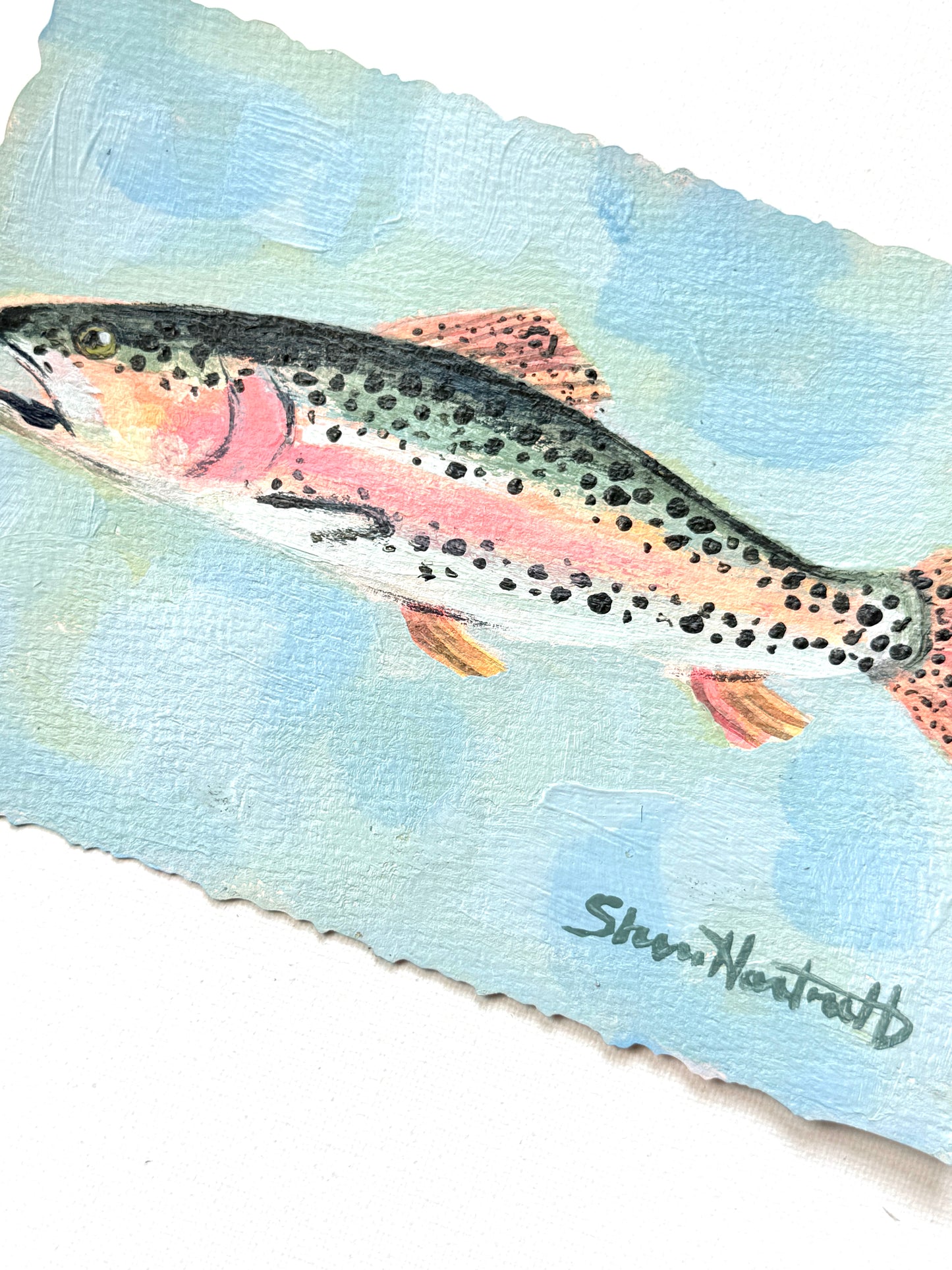 ORIGINAL Rainbow Trout 5x7 — Part of Set I