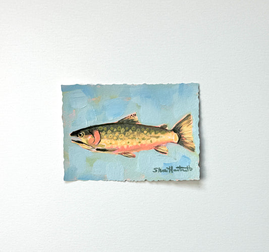 ORIGINAL Brook Trout 5x7 — Part of Set I