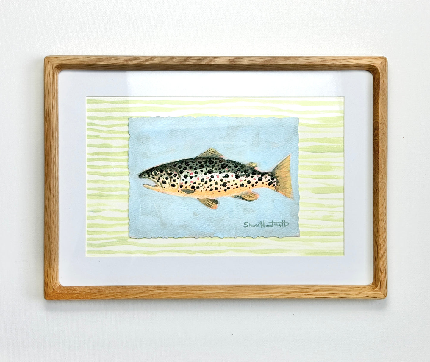 Framed ORIGINAL Brown Trout - Part of Set III