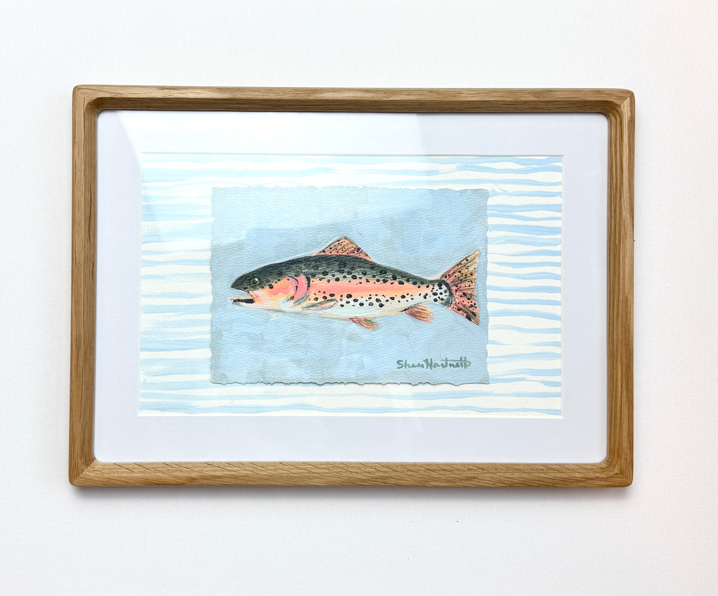 Framed ORIGINAL  Rainbow Trout- Part of Set III