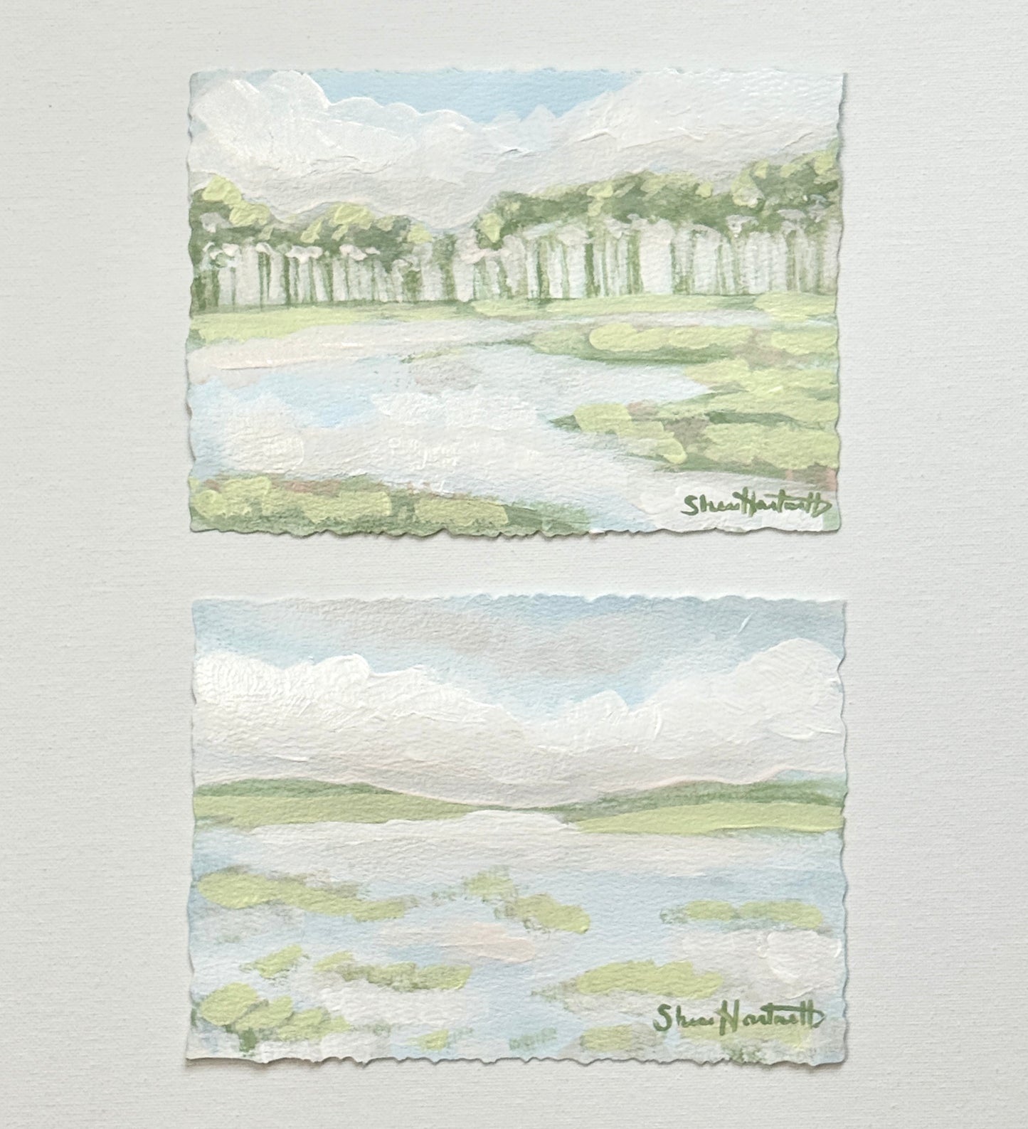 Lowcountry Studies- Set of 2