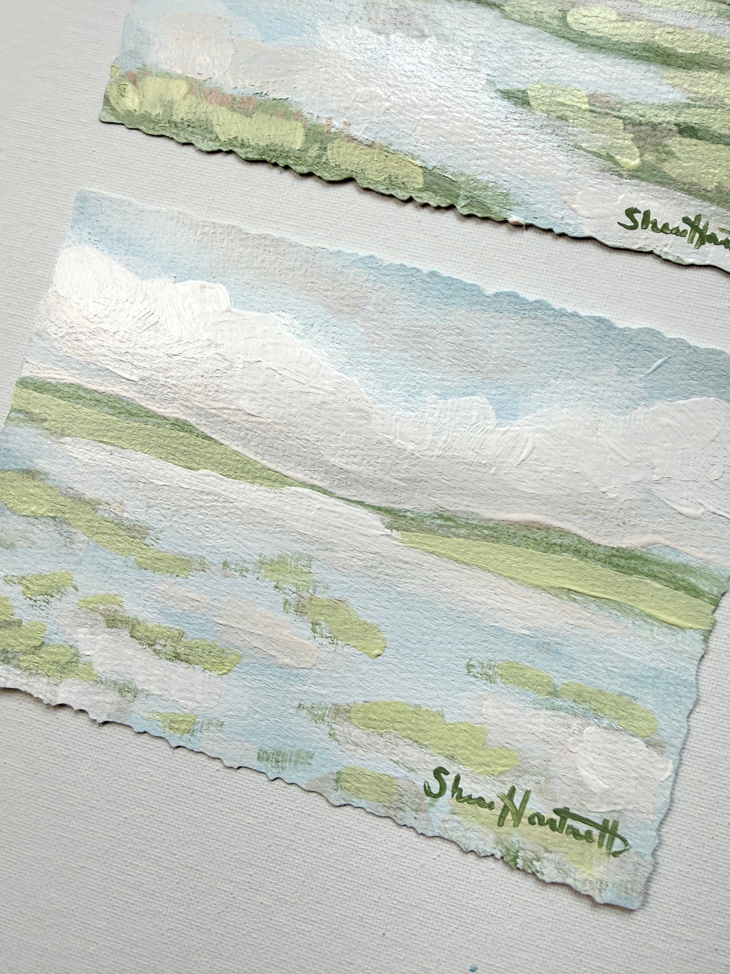 Lowcountry Studies- Set of 2