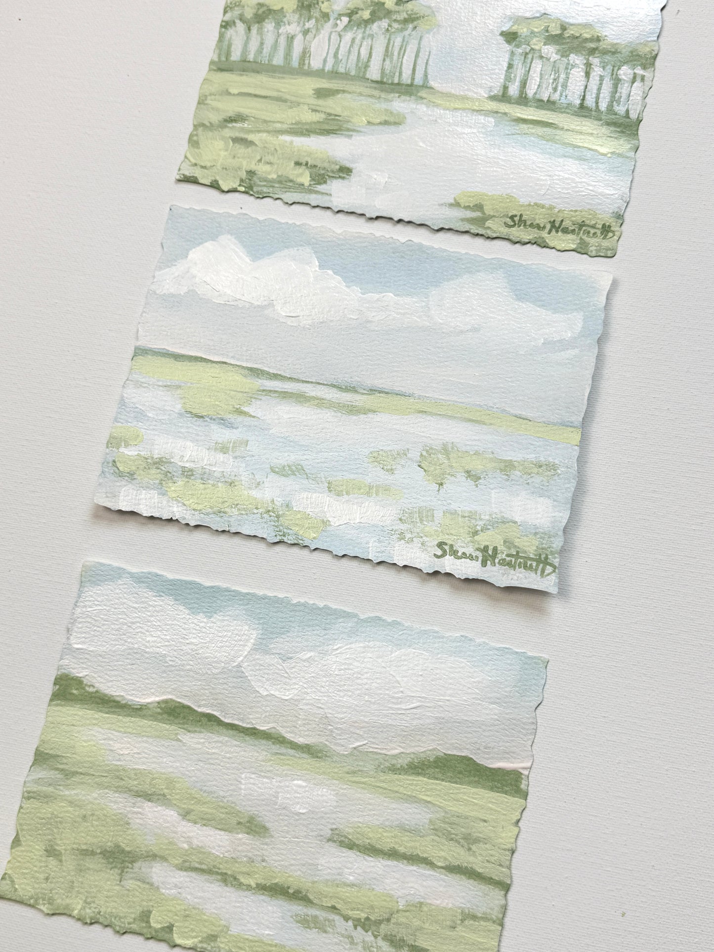 Lowcountry Studies- Set of 3