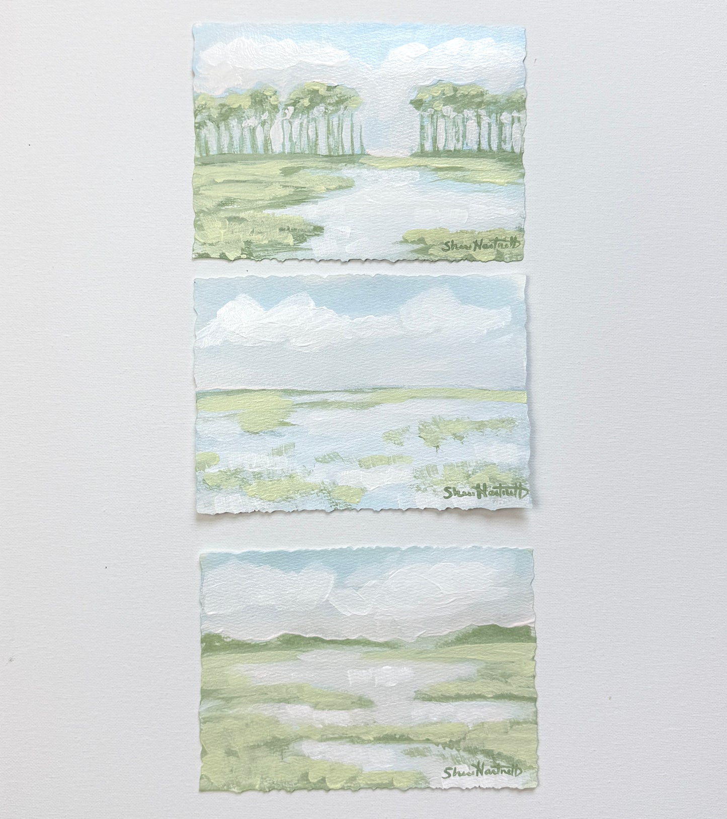 Lowcountry Studies- Set of 3