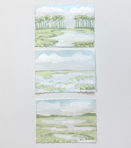 Lowcountry Studies- Set of 3