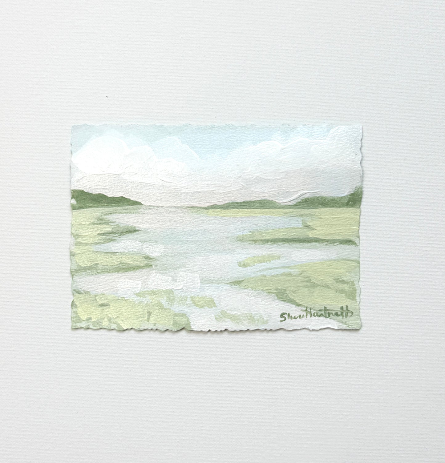 Lowcountry Studies- Marsh I