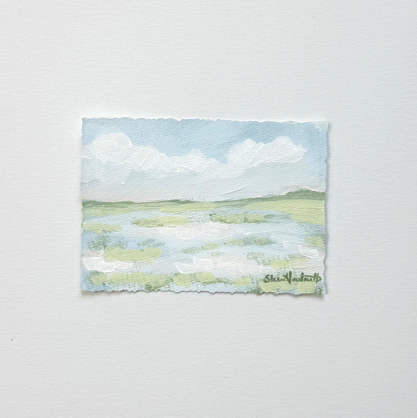 Lowcountry Studies- Marsh II