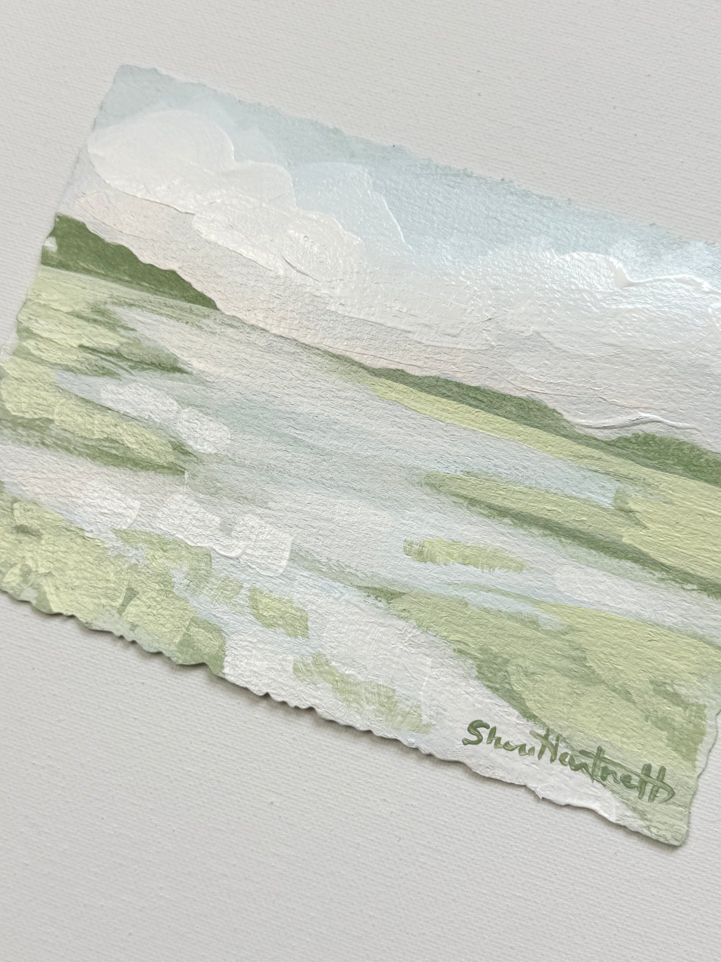 Lowcountry Studies- Marsh I