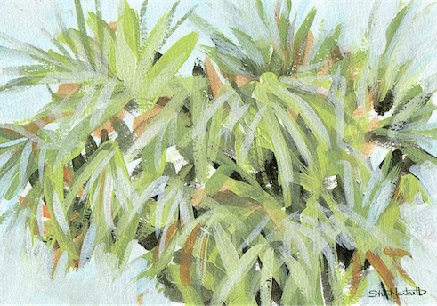 Lowcountry Coastal Calm Acrylic Painting Prints — Set of 4