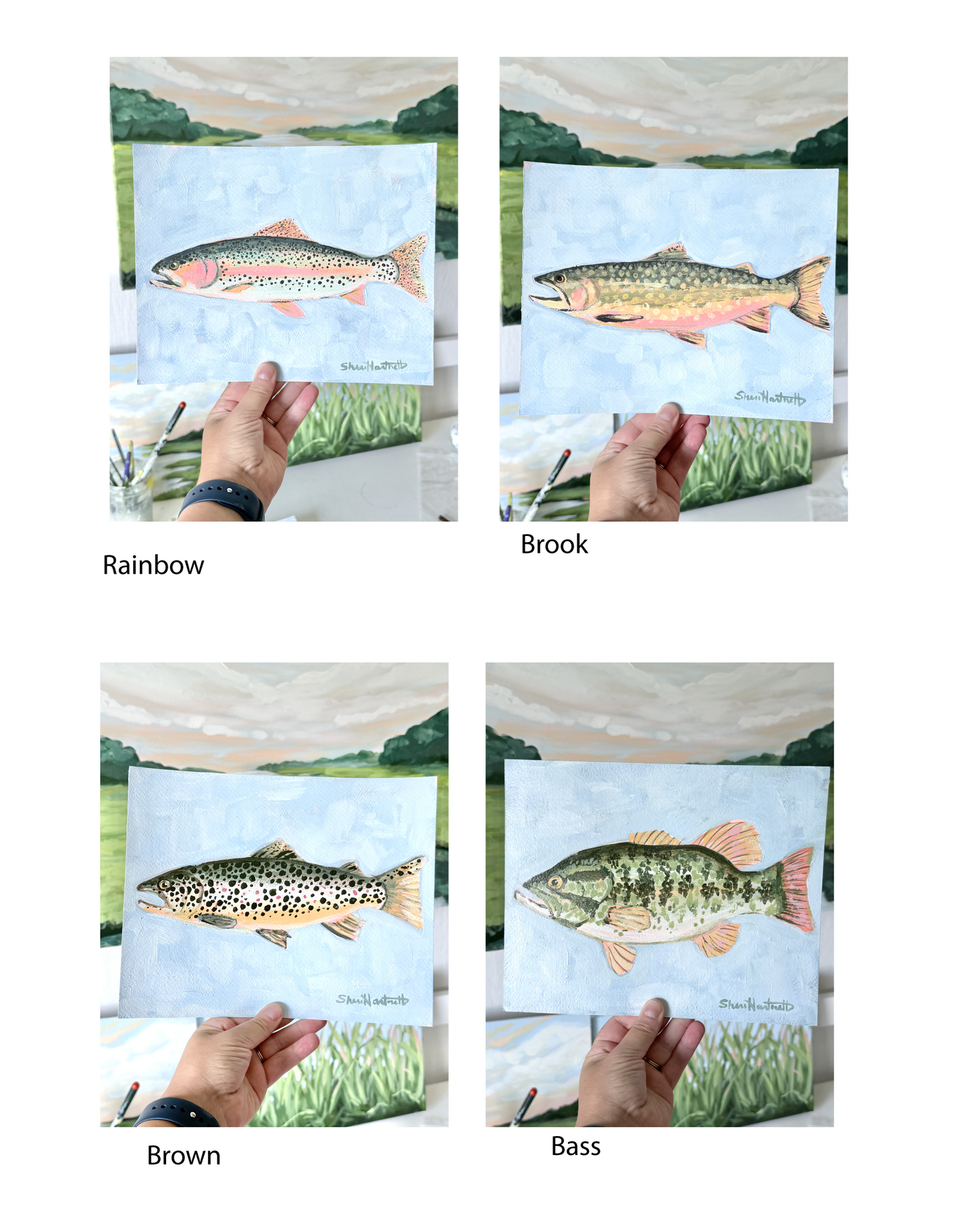 Freshwater Fish Collection PRINTS — Fine Art Print