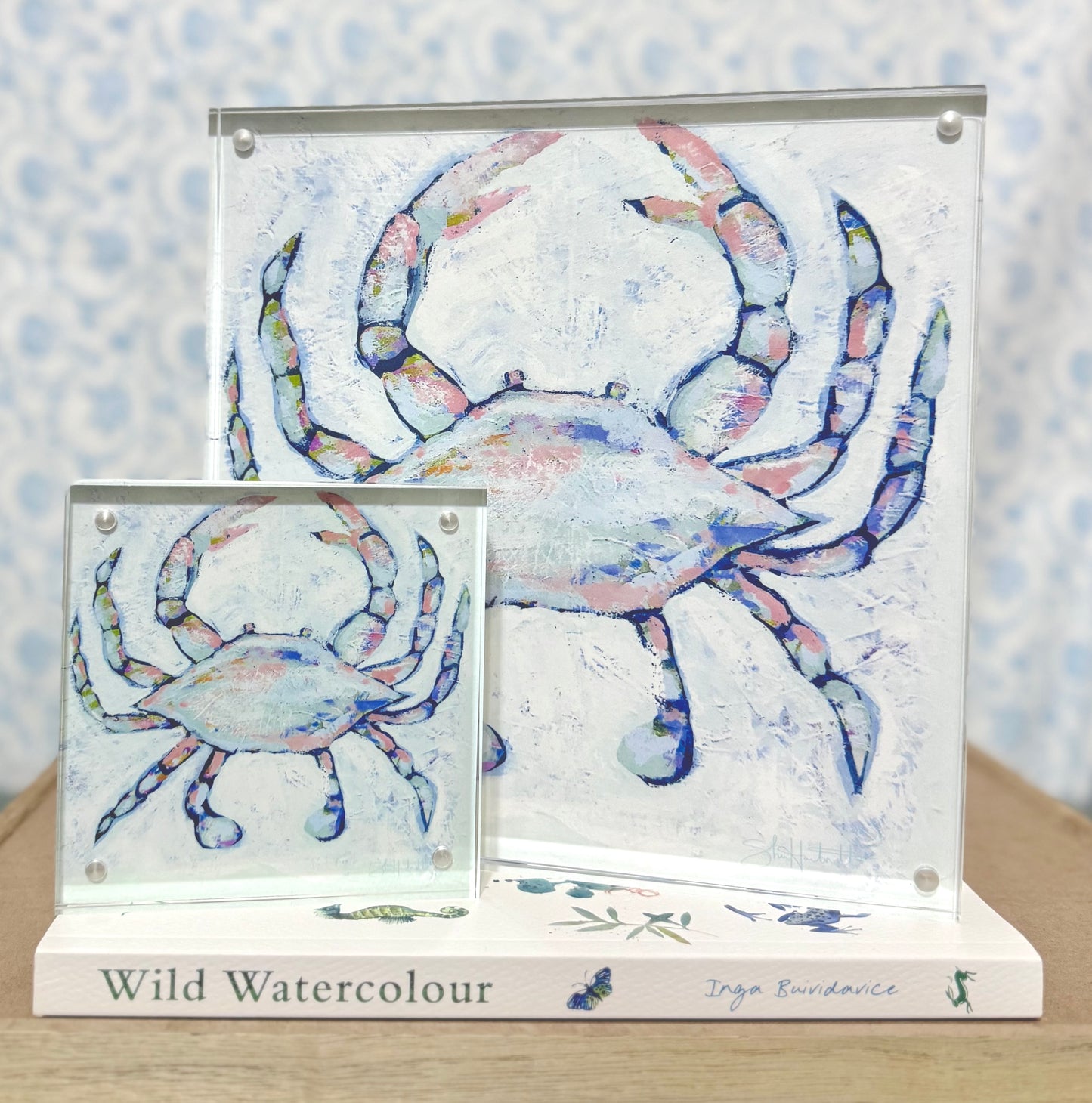 "Dancing Crab"- Blue Crab Acrylic Framed Print