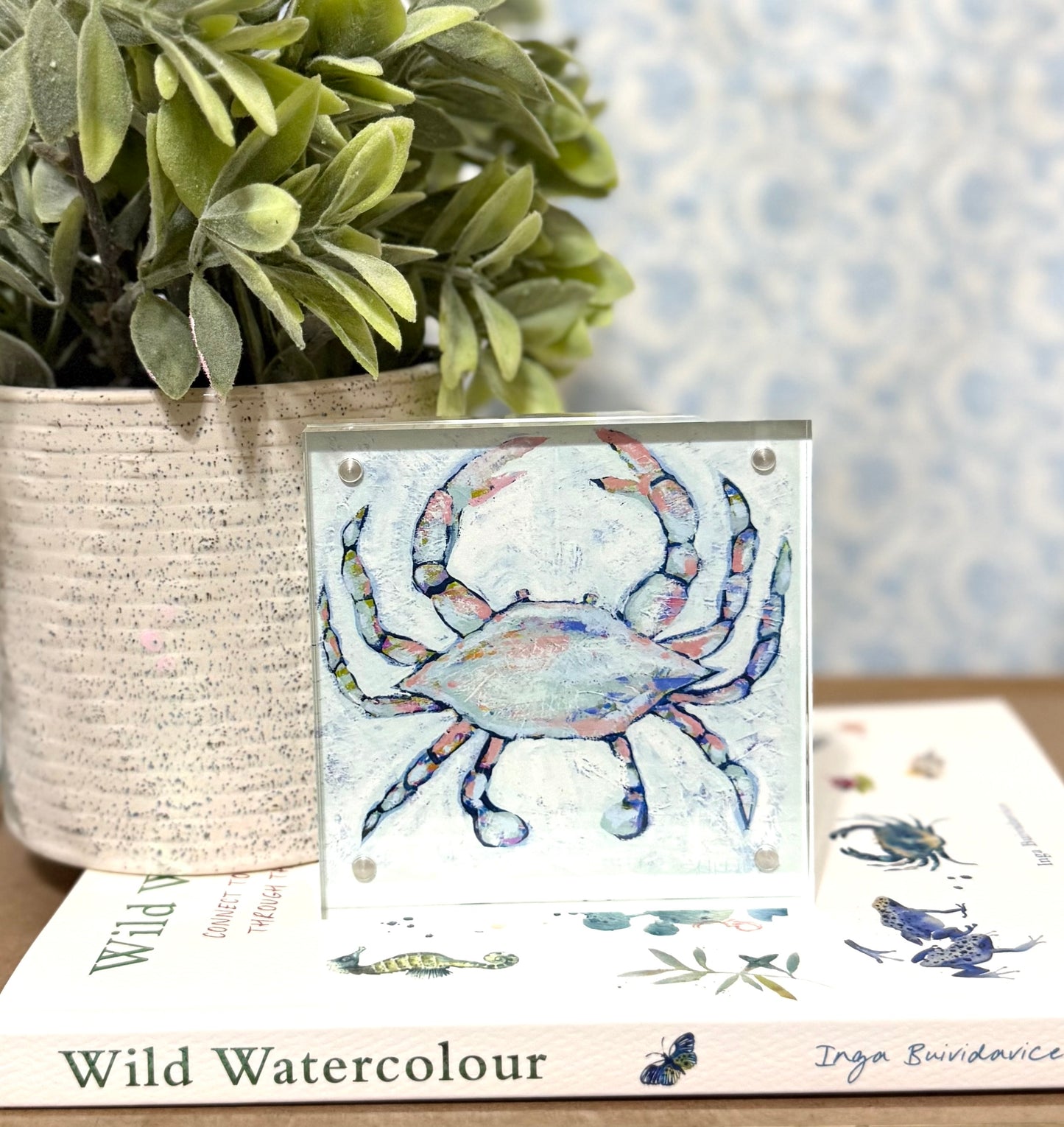 "Dancing Crab"- Blue Crab Acrylic Framed Print