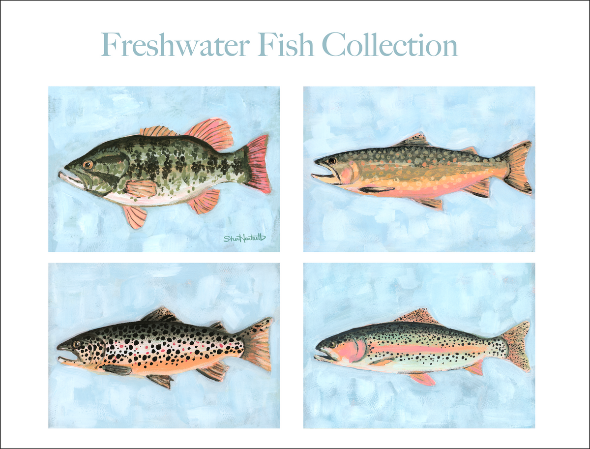 Freshwater Fish Collection PRINTS — Fine Art Print