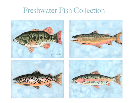Freshwater Fish Collection PRINTS — Fine Art Print