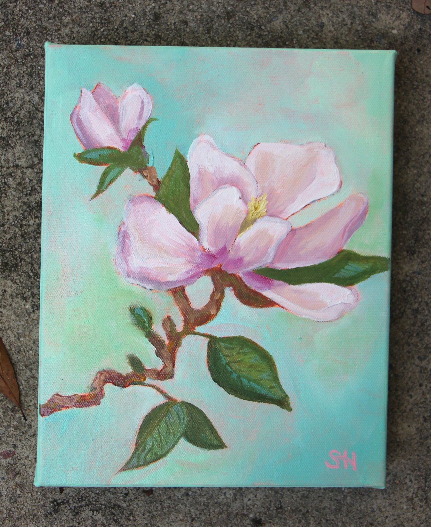 Sweet Magnolia #2- Oil Painting