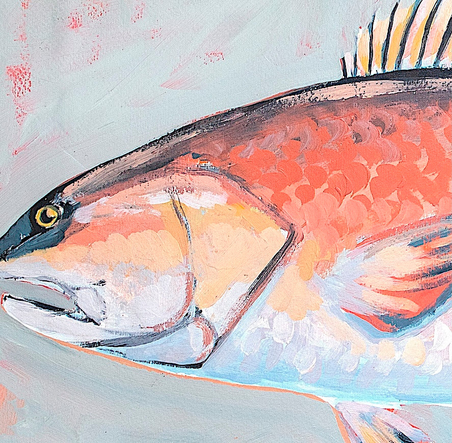 Redfish Fine Art Print