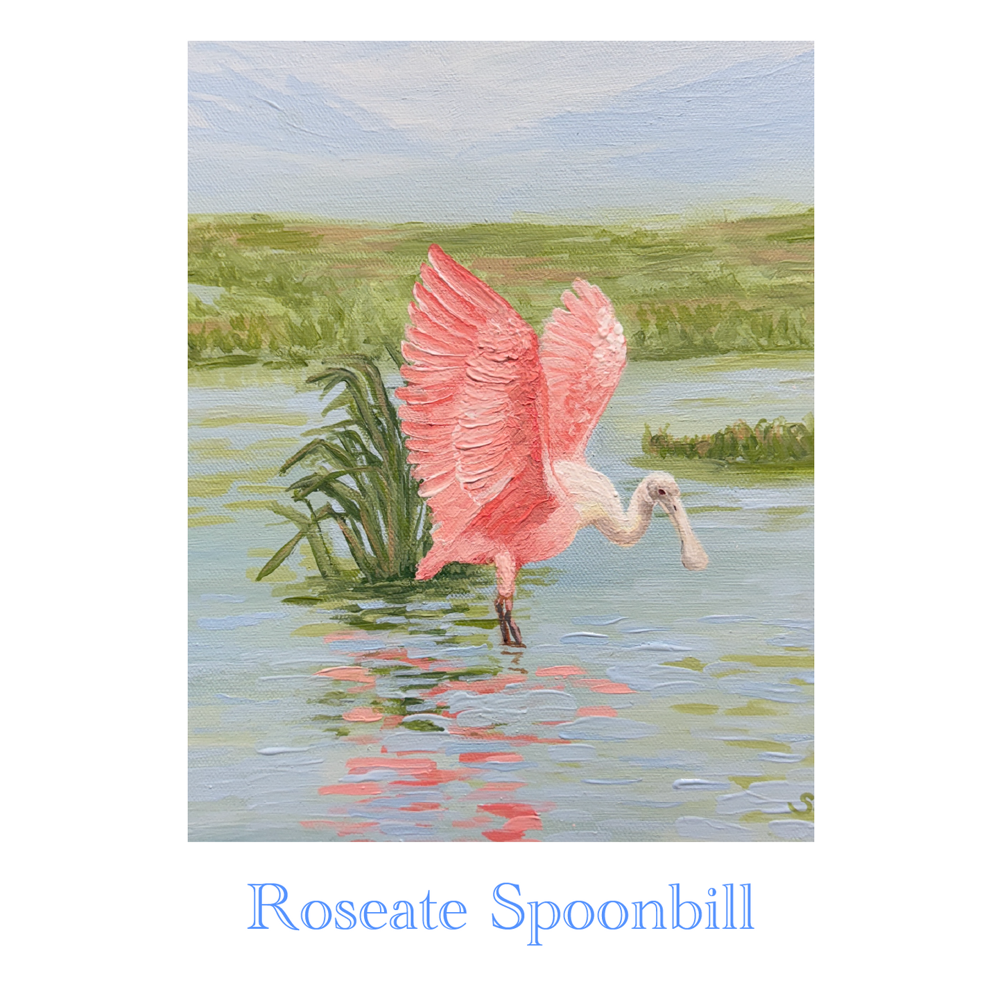 Wholesale Fine Art Prints | Coastal & Southern Collection